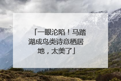 一眼沦陷！马踏湖成鸟类诗意栖居地，太美了