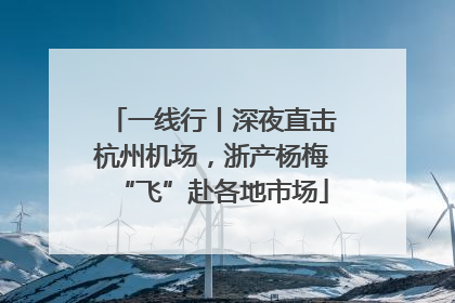 一线行丨深夜直击杭州机场，浙产杨梅“飞”赴各地市场