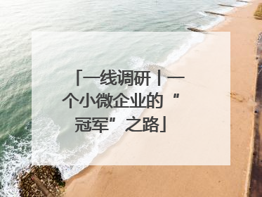 一线调研丨一个小微企业的“冠军”之路