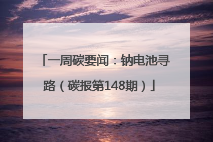 一周碳要闻：钠电池寻路（碳报第148期）