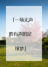 一场无声胜有声的足球梦