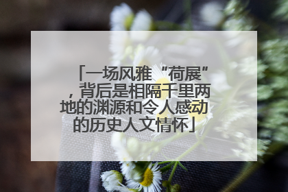 一场风雅“荷展”，背后是相隔千里两地的渊源和令人感动的历史人文情怀