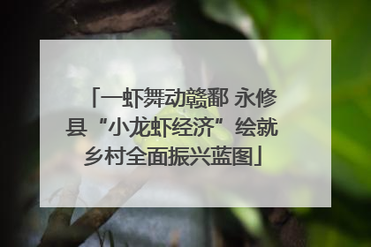 一虾舞动赣鄱 永修县“小龙虾经济”绘就乡村全面振兴蓝图
