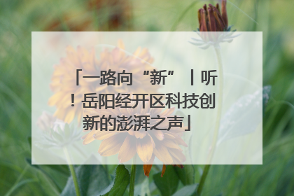 一路向“新”丨听！岳阳经开区科技创新的澎湃之声