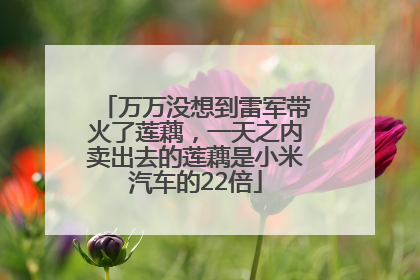 万万没想到雷军带火了莲藕，一天之内卖出去的莲藕是小米汽车的22倍