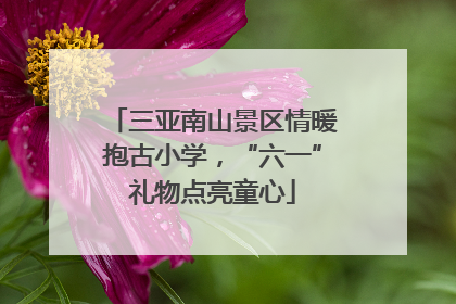三亚南山景区情暖抱古小学，“六一”礼物点亮童心