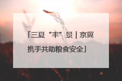 三夏“丰”景｜京冀携手共助粮食安全