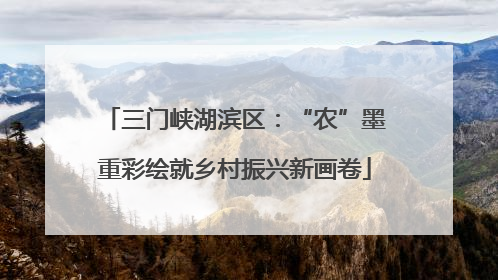三门峡湖滨区：“农”墨重彩绘就乡村振兴新画卷