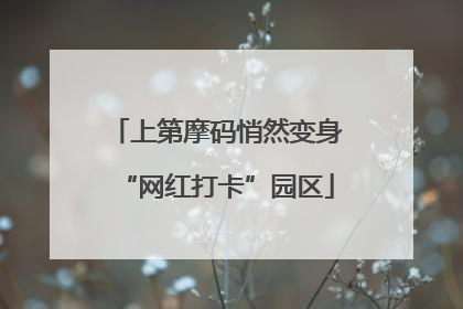 上第摩码悄然变身“网红打卡”园区