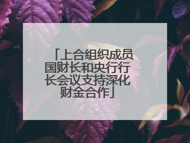 上合组织成员国财长和央行行长会议支持深化财金合作