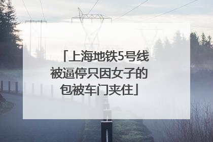 上海地铁5号线被逼停只因女子的包被车门夹住