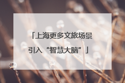 上海更多文旅场景引入“智慧大脑”