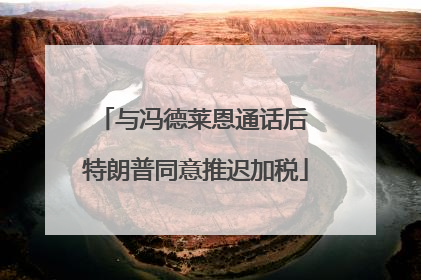 与冯德莱恩通话后 特朗普同意推迟加税