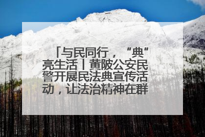 与民同行，“典”亮生活丨黄陂公安民警开展民法典宣传活动，让法治精神在群众心中落地生根