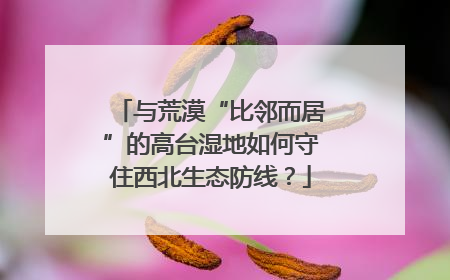 与荒漠“比邻而居”的高台湿地如何守住西北生态防线？