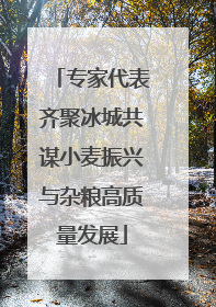 专家代表齐聚冰城共谋小麦振兴与杂粮高质量发展