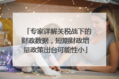 专家详解关税战下的财政数据，短期财政增量政策出台可能性小