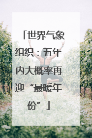 世界气象组织：五年内大概率再迎“最暖年份”