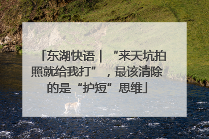 东湖快语｜“来天坑拍照就给我打”，最该清除的是“护短”思维