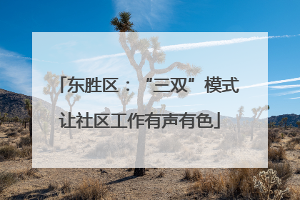 东胜区：“三双”模式让社区工作有声有色
