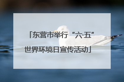东营市举行“六·五”世界环境日宣传活动