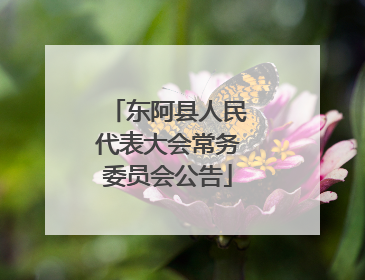 东阿县人民代表大会常务委员会公告