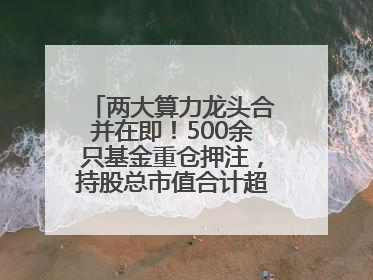 两大算力龙头合并在即！500余只基金重仓押注，持股总市值合计超380亿元