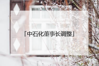 中石化董事长调整