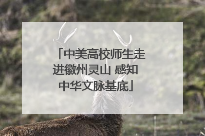 中美高校师生走进徽州灵山 感知中华文脉基底