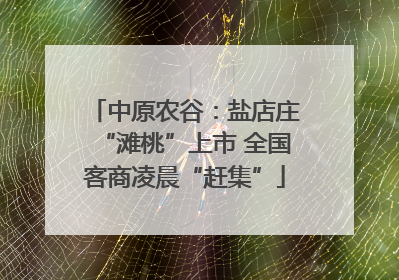 中原农谷：盐店庄“滩桃”上市 全国客商凌晨“赶集”