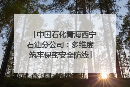 中国石化青海西宁石油分公司：多维度筑牢保密安全防线