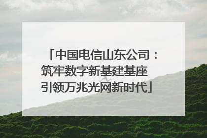 中国电信山东公司：筑牢数字新基建基座 引领万兆光网新时代