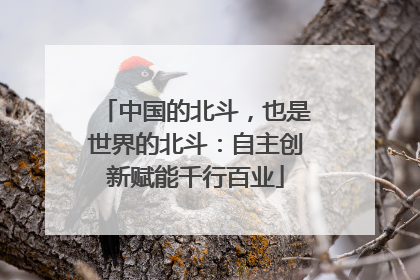 中国的北斗，也是世界的北斗：自主创新赋能千行百业