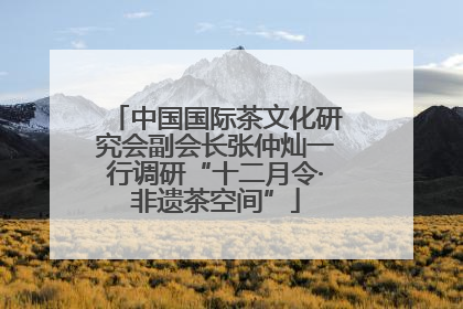 中国国际茶文化研究会副会长张仲灿一行调研“十二月令·非遗茶空间”