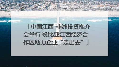 中国江西-非洲投资推介会举行 赞比亚江西经济合作区助力企业“走出去”