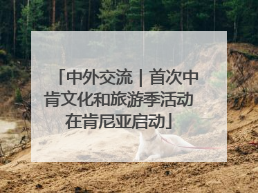中外交流｜首次中肯文化和旅游季活动在肯尼亚启动