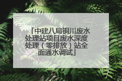 中建八局铜川废水处理站项目废水深度处理（零排放）站全面通水调试