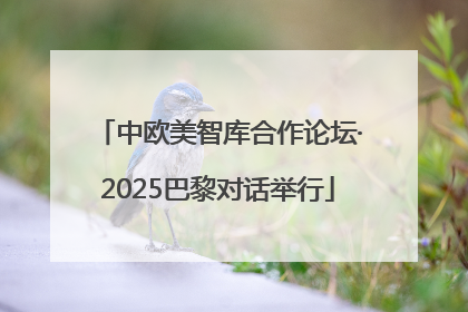 中欧美智库合作论坛·2025巴黎对话举行