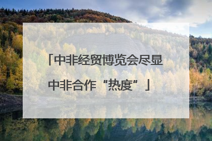 中非经贸博览会尽显中非合作“热度”