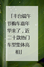 丰台端午节购车嘉年华来了，近二十款热门车型集体亮相