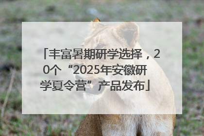 丰富暑期研学选择，20个“2025年安徽研学夏令营”产品发布