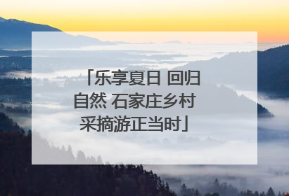 乐享夏日 回归自然 石家庄乡村采摘游正当时