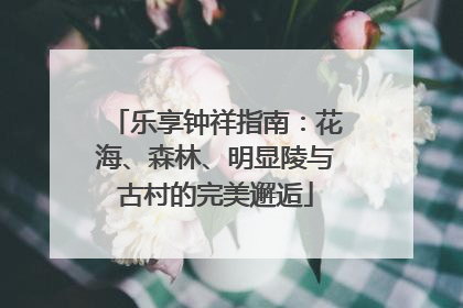 乐享钟祥指南：花海、森林、明显陵与古村的完美邂逅
