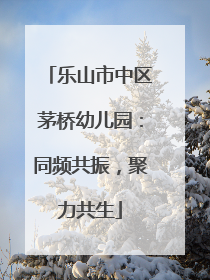 乐山市中区茅桥幼儿园：同频共振，聚力共生