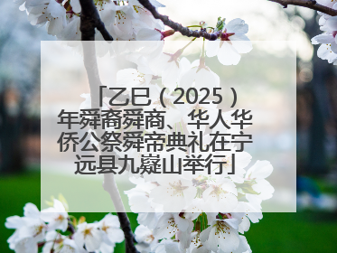 乙巳（2025）年舜裔舜商、华人华侨公祭舜帝典礼在宁远县九嶷山举行