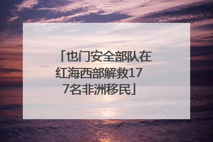 也门安全部队在红海西部解救177名非洲移民