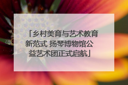 乡村美育与艺术教育新范式 扬琴博物馆公益艺术团正式启航