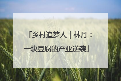 乡村追梦人｜林丹：一块豆腐的产业逆袭
