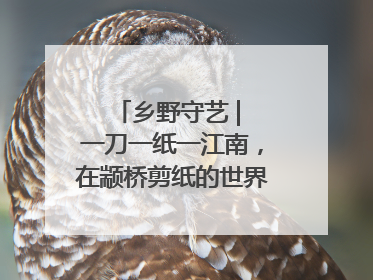 乡野守艺 | 一刀一纸一江南，在颛桥剪纸的世界里，每个痕迹都刻着水乡的柔情