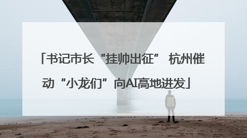 书记市长“挂帅出征” 杭州催动“小龙们”向AI高地进发